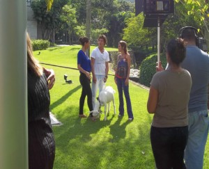 Gravação do programa Vídeo Show. Ariana, Débora Nascimento, Pedro Loreto e Dani Monteiro